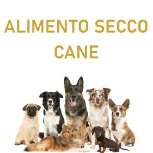 ALIMENTO SECCO CANE